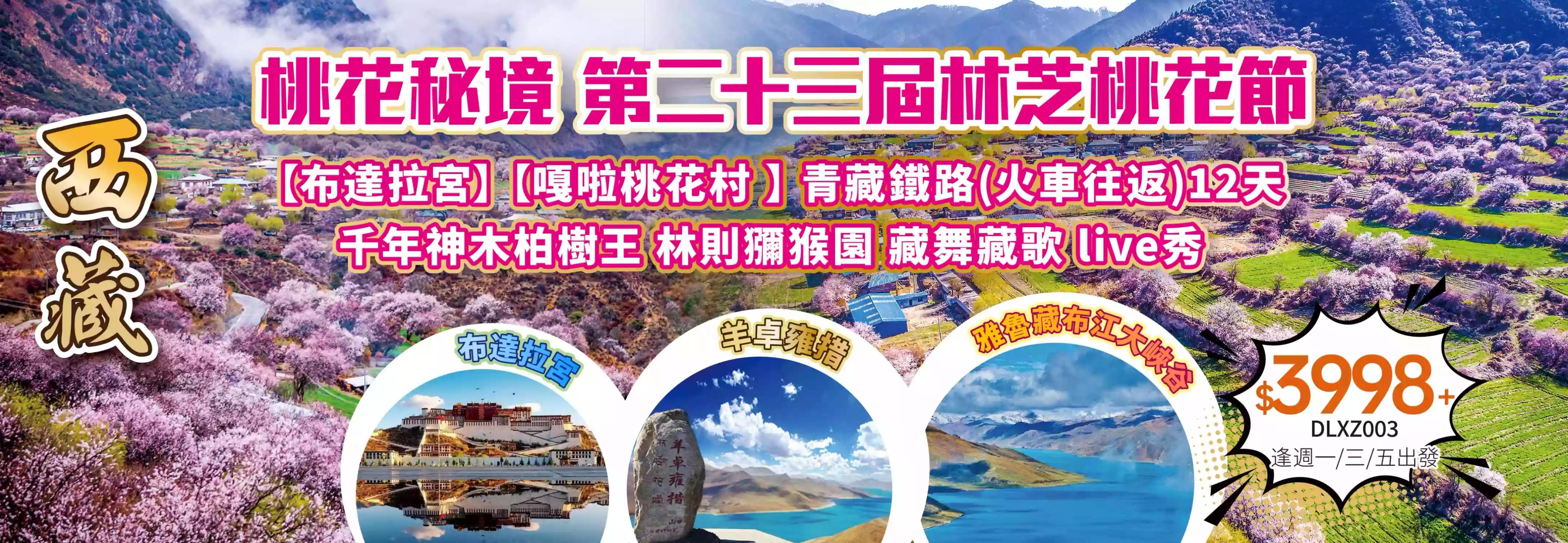 slide image 横幅图片